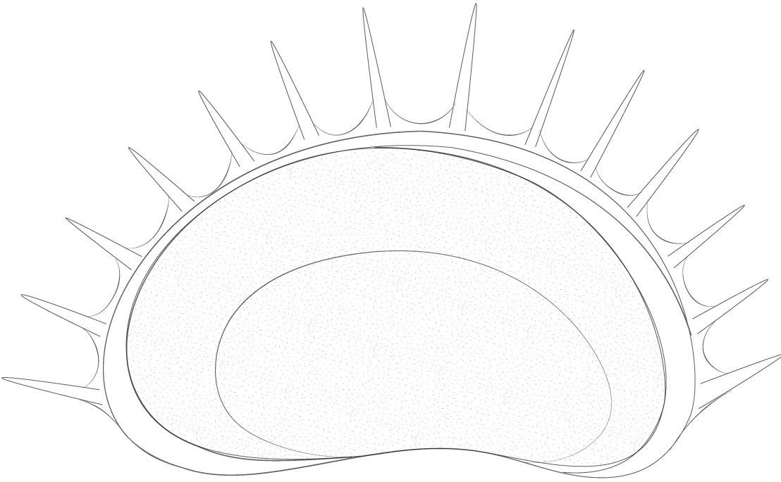 pianta carnivora open